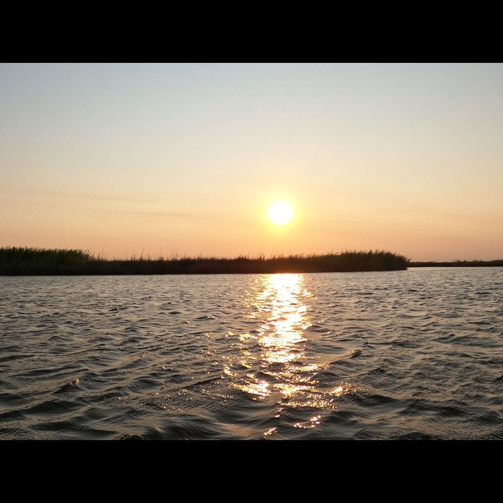 Meet your Posher, Bri